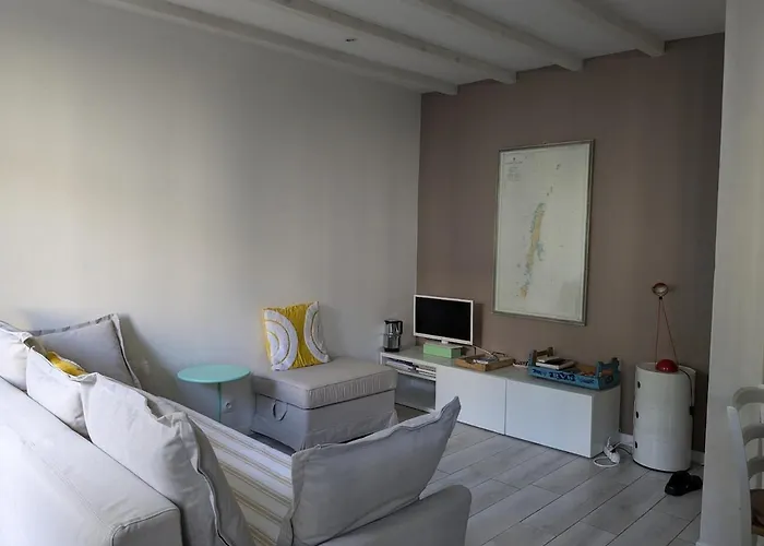 T2 Au Pied Du Chateau Sans Vis A Vis Διαμέρισμα Saumur